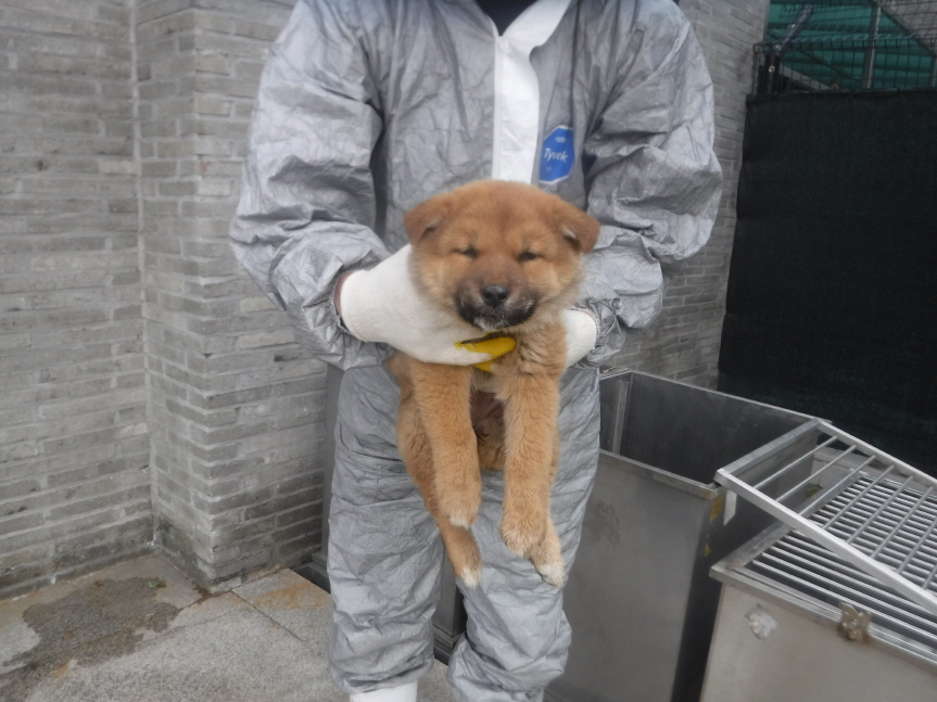 제주 동물보호센터_450650202301272